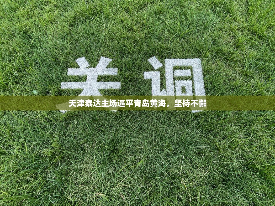 天津泰达主场逼平青岛黄海,坚持不懈 第1张